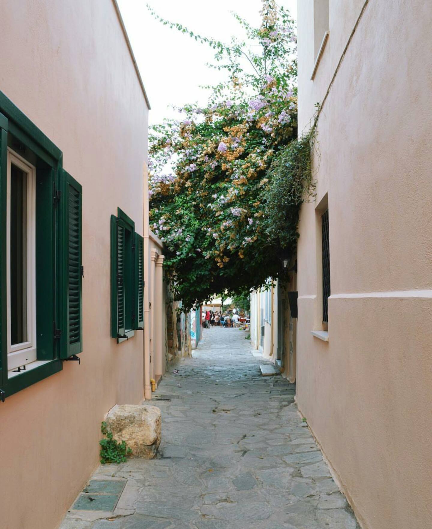 Biz "Plaka"ya Aşık Olduk Galiba