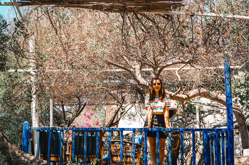 Bodrum'da Gezilecek Yerler: Mazı Köyü Yeme-İçme