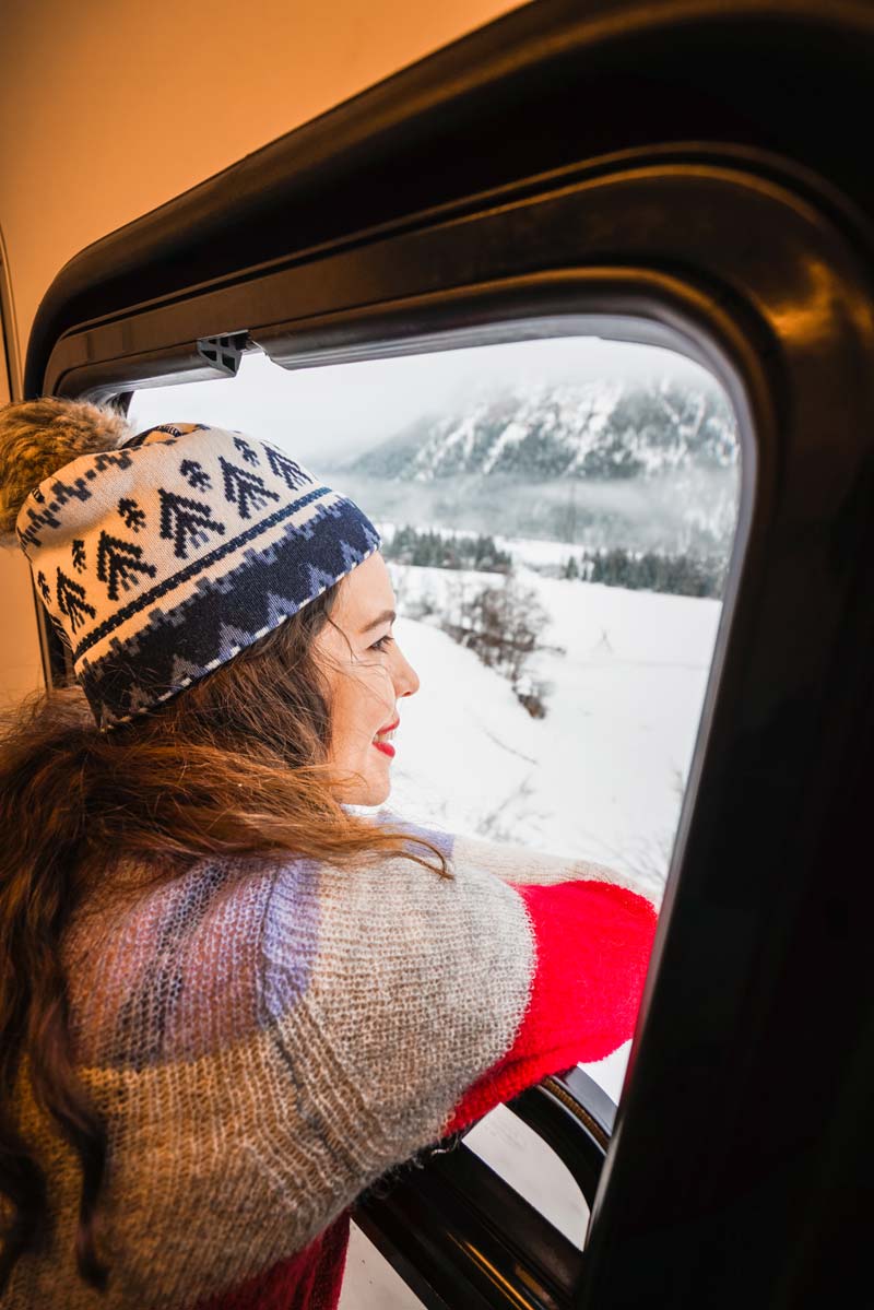 Bernina Treni